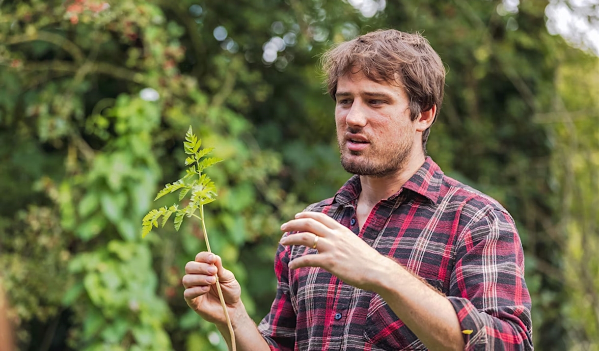 Forage and Nibble workshop