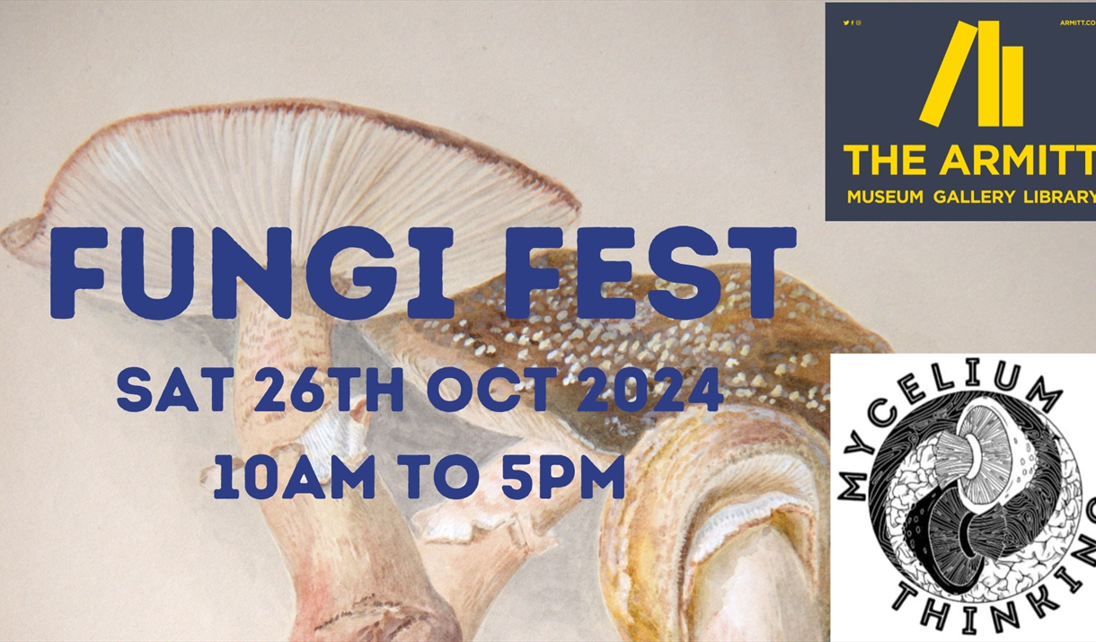 The Armitt presents: Fungi Fest!