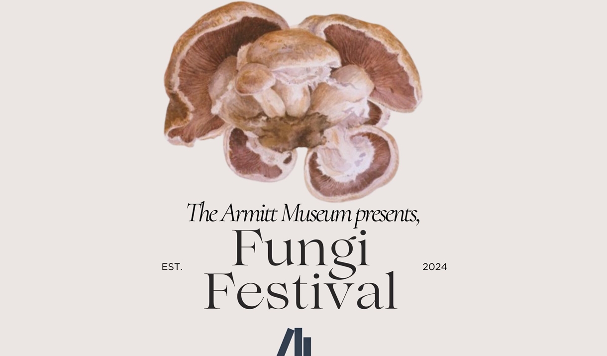 Text: The Armitt presents Fungi Festival est. 2024. Image contains a beige background, a brown mushroom and The Armitt's logo