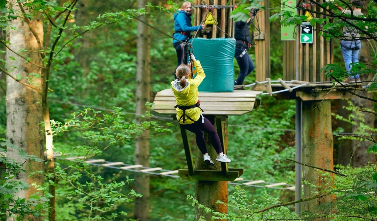 Customers enjoys zipping across while up among the foliage of the trees.
