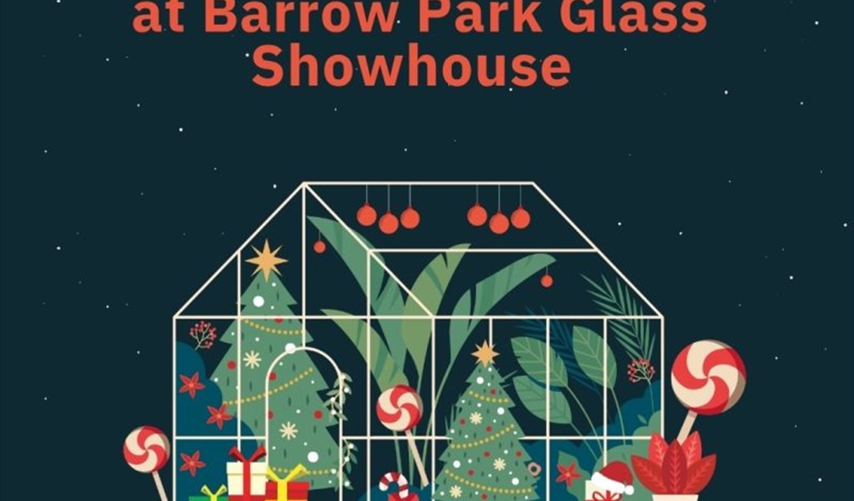 Festive Open Days at Barrow Park Glass Showhouse