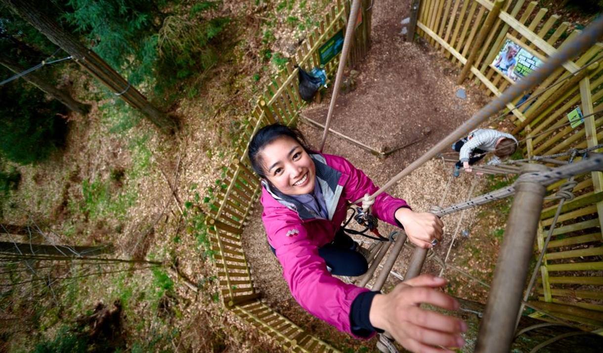 February Half Term at Go Ape Grizedale