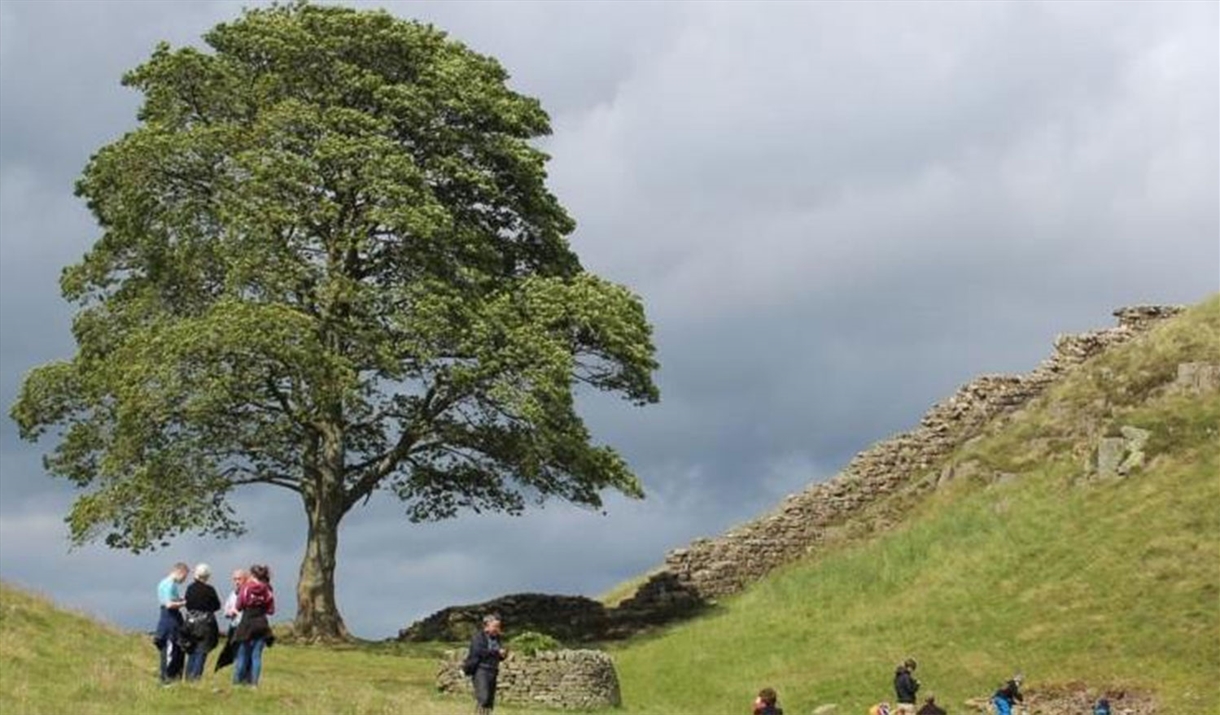 Great Guided Tours in Carlisle, Cumbria