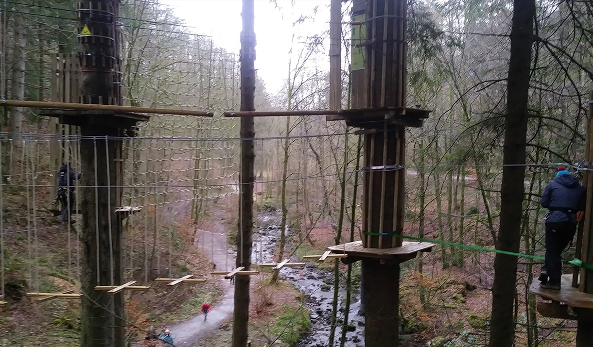 Go Ape Grizedale Visit Lake District