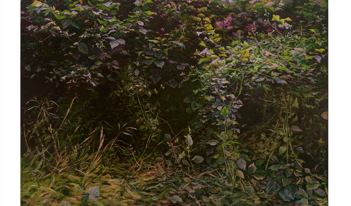 Expanding Landscapes: Painting After Land Art