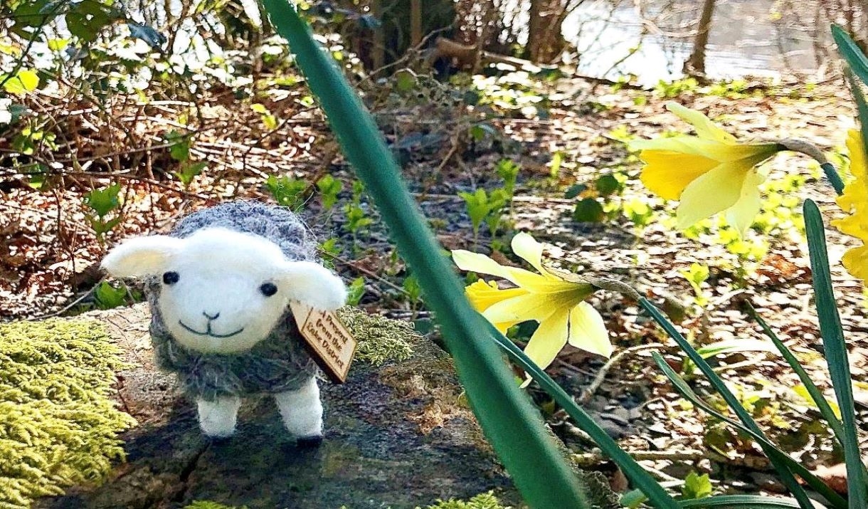 Needlefelted Herdwick Sheep Workshop at Hare Hill Barn in the Lake District, Cumbria