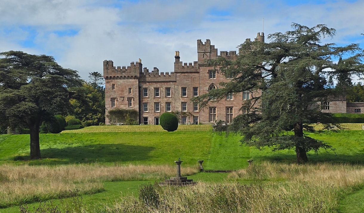 South Terrace