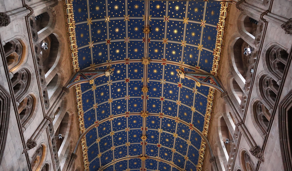 Angels' View Tours