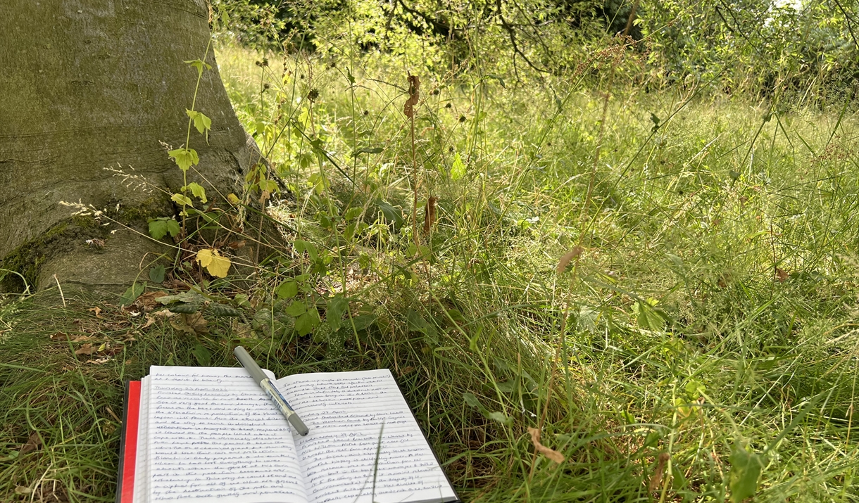 A hand-written notebook lies open at the base of a large tree. It has a pen resting on it and is surrounded by wildflowers and plants.