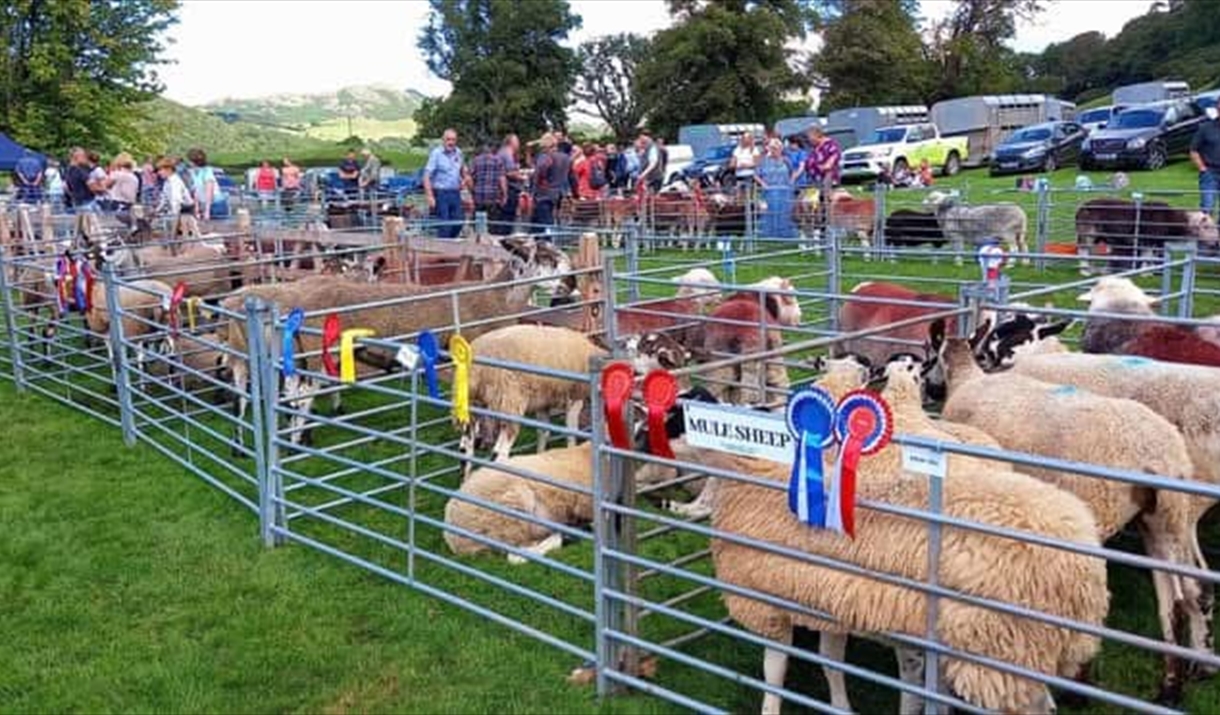 Millom and Broughton Agricultural Show