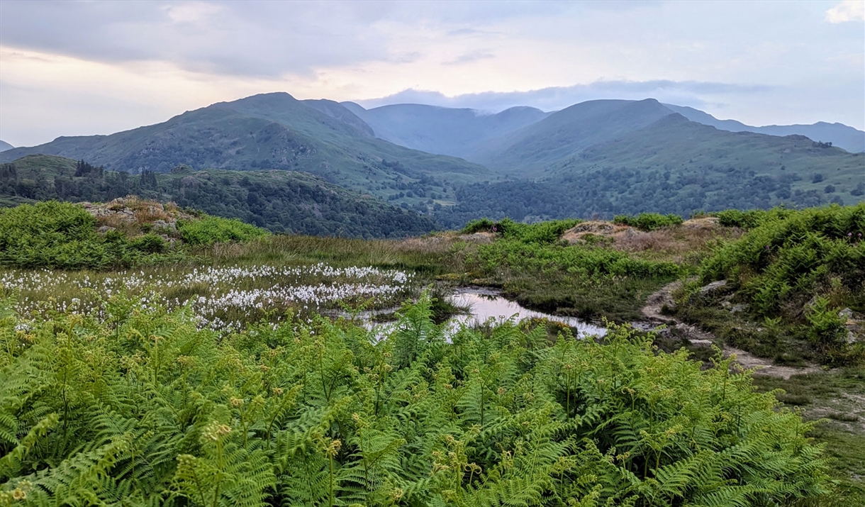 Scenic Lake District Views with Kelker Well Walks