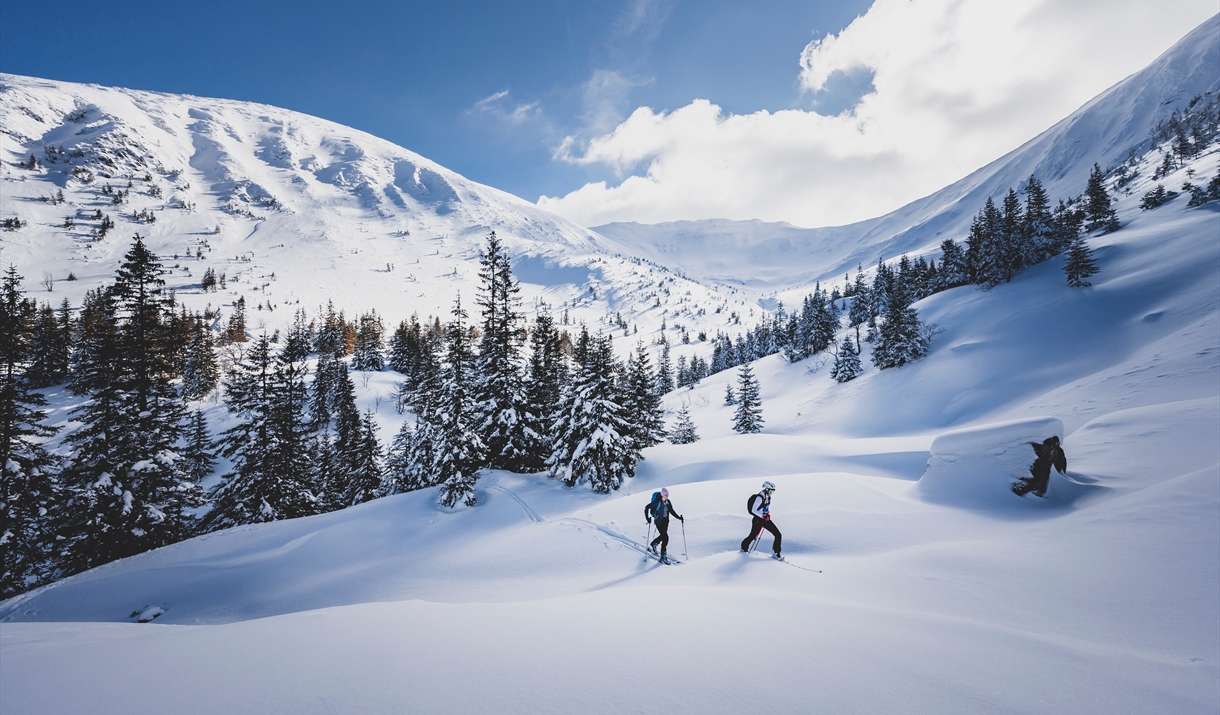 A snowy mountain landscape