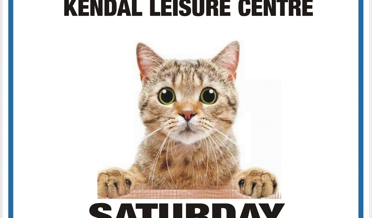 LDCC CAT SHOW