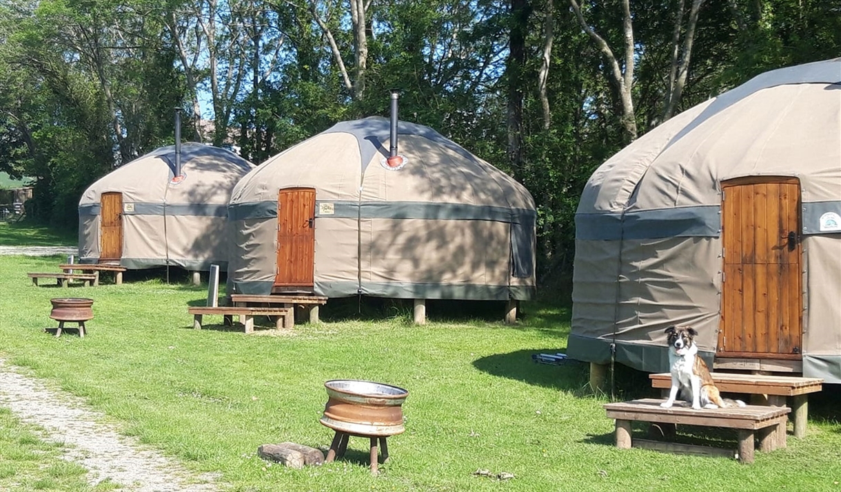 Dog Friendly Yurts at Long Valley Yurts, Keswick, Lake District