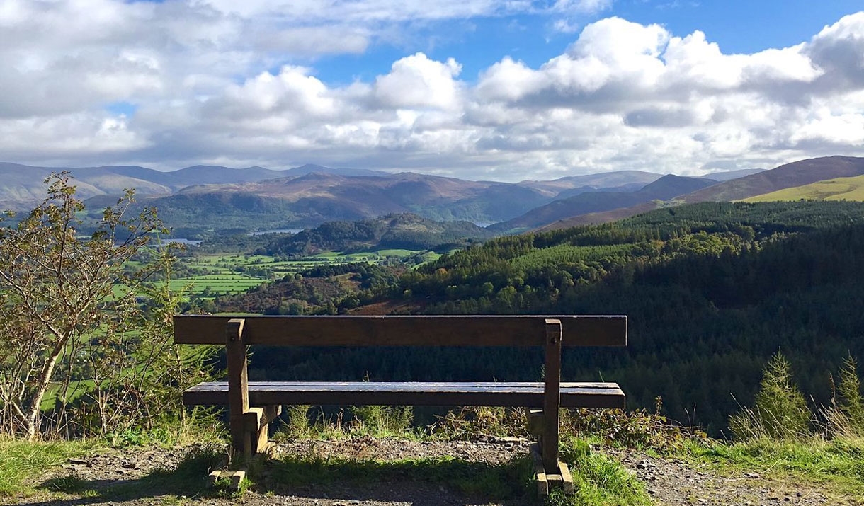 Landscape Photography Full Day Workshop at Whinlatter Forest in the Lake District, Cumbria