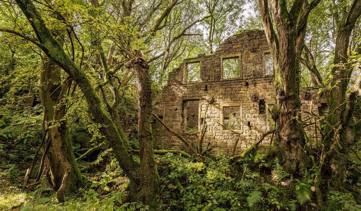 Photograph of an abandoned mill by Lee Whitworth