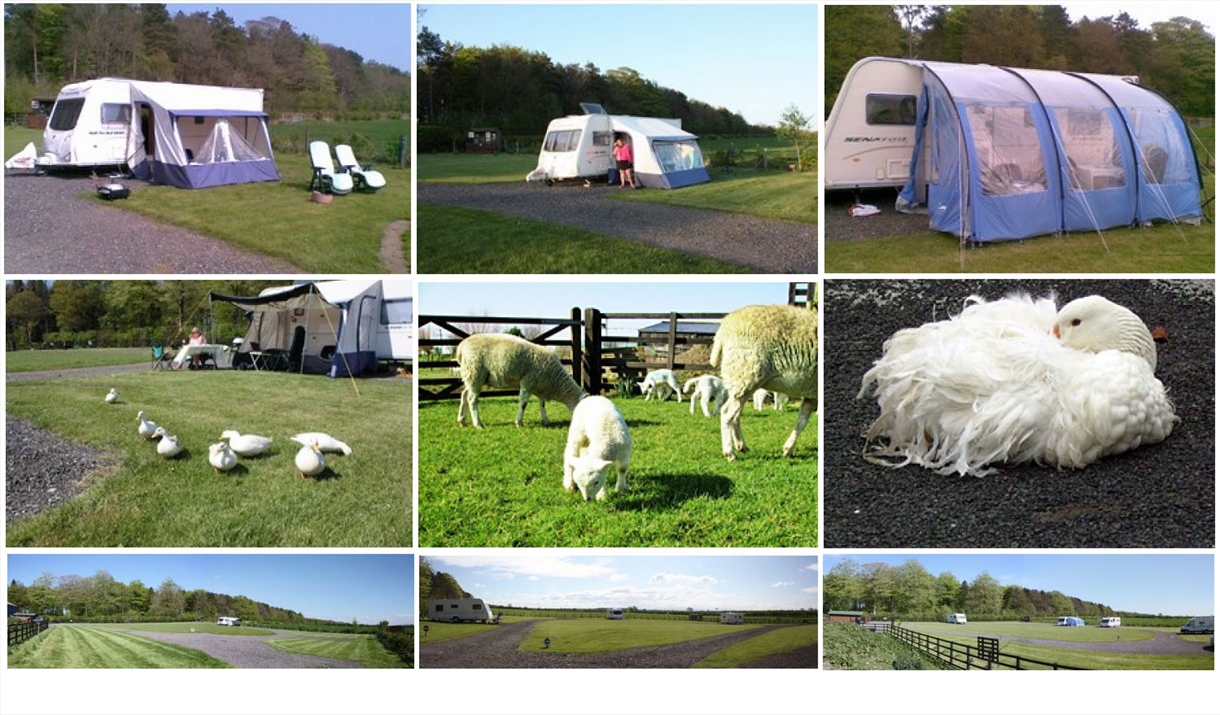 Low Moor Head Caravan Park near Longtown, Cumbria