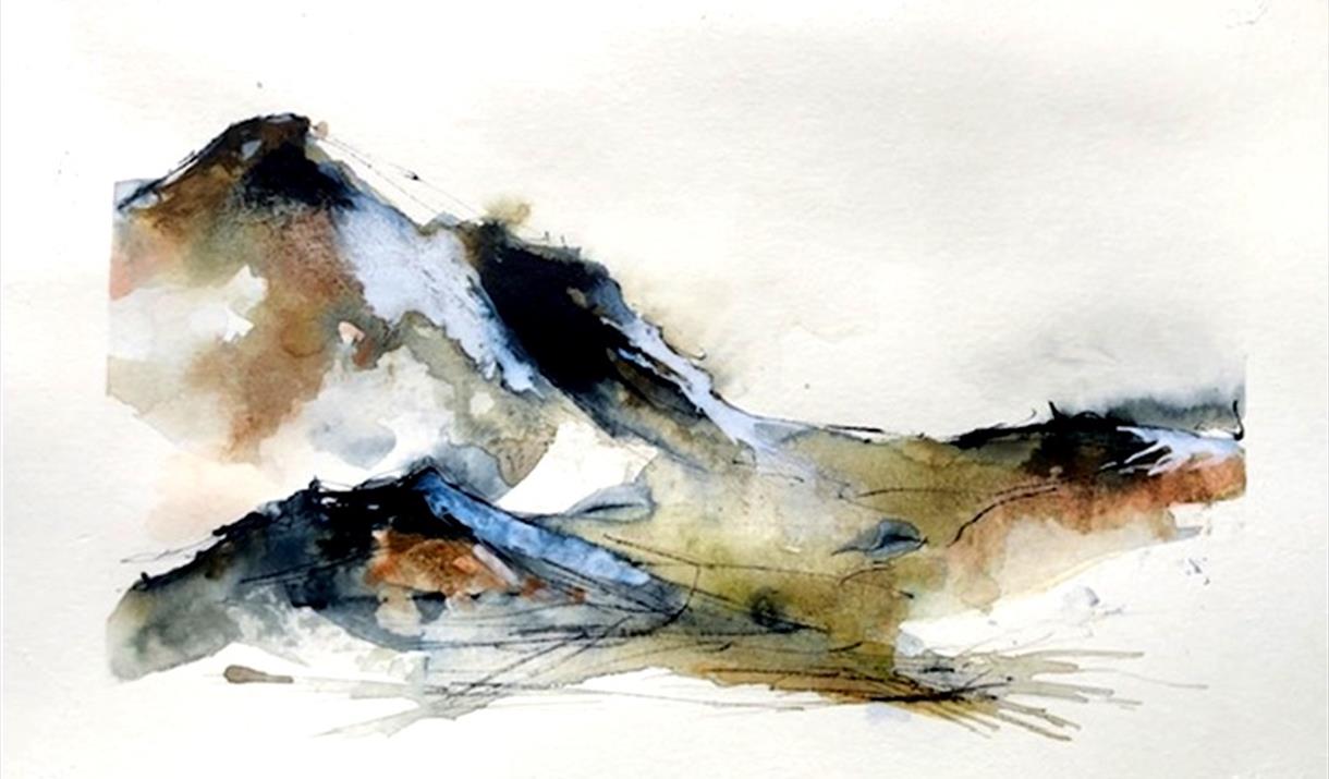'Dynamic Floral & Landscape Abstracts in Ink and Watercolour' - with Lyn Evans