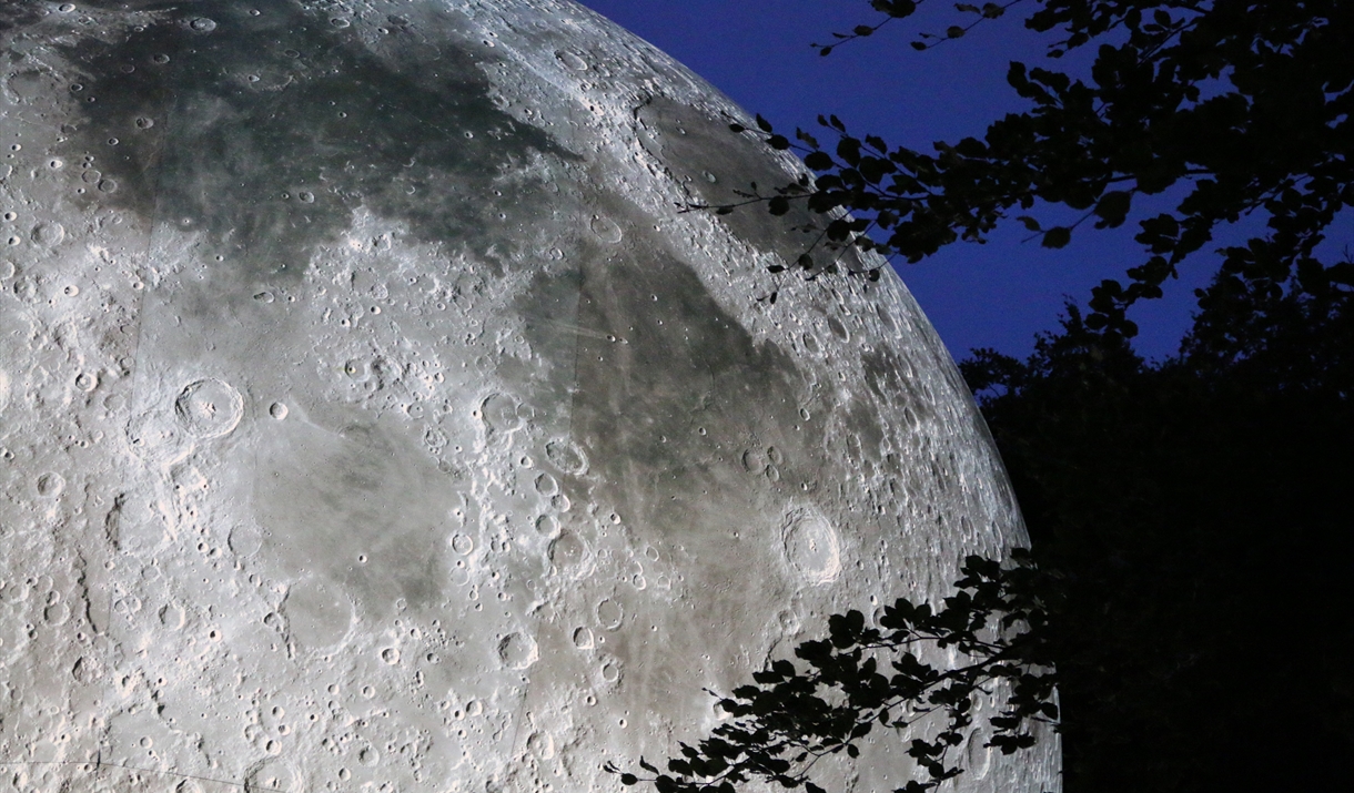 Museum of the Moon
