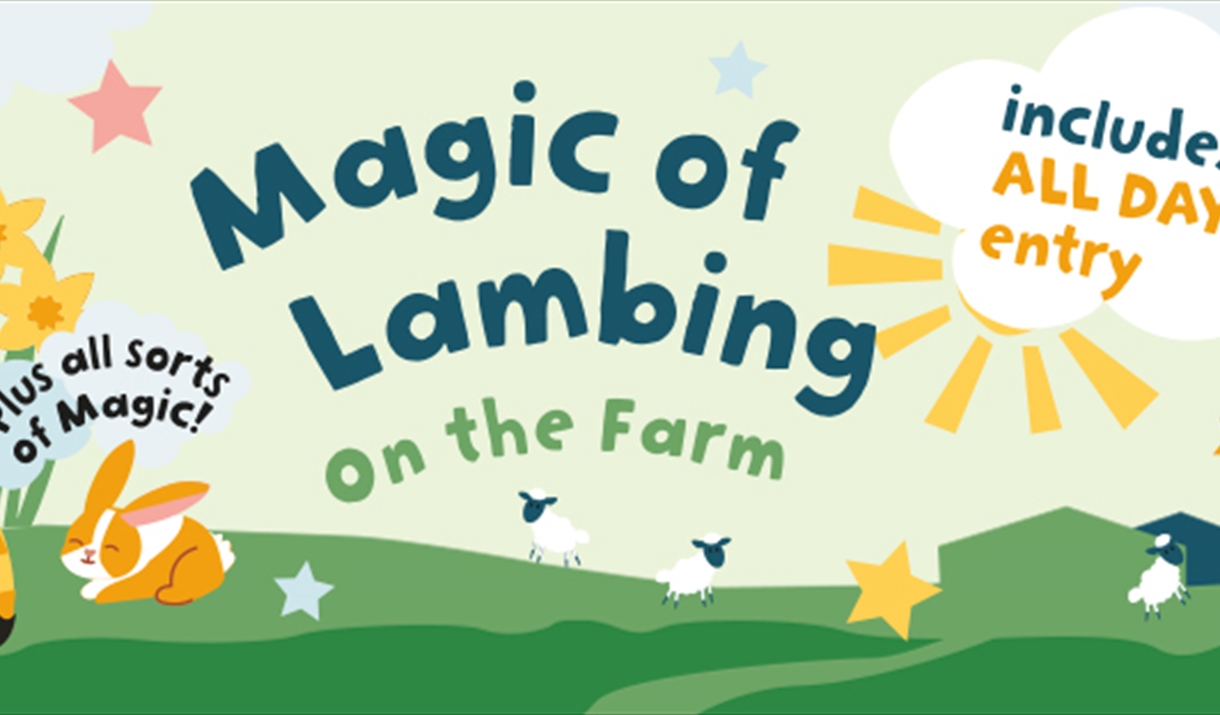 Magic of Lambing Half Term at Walby Farm Park