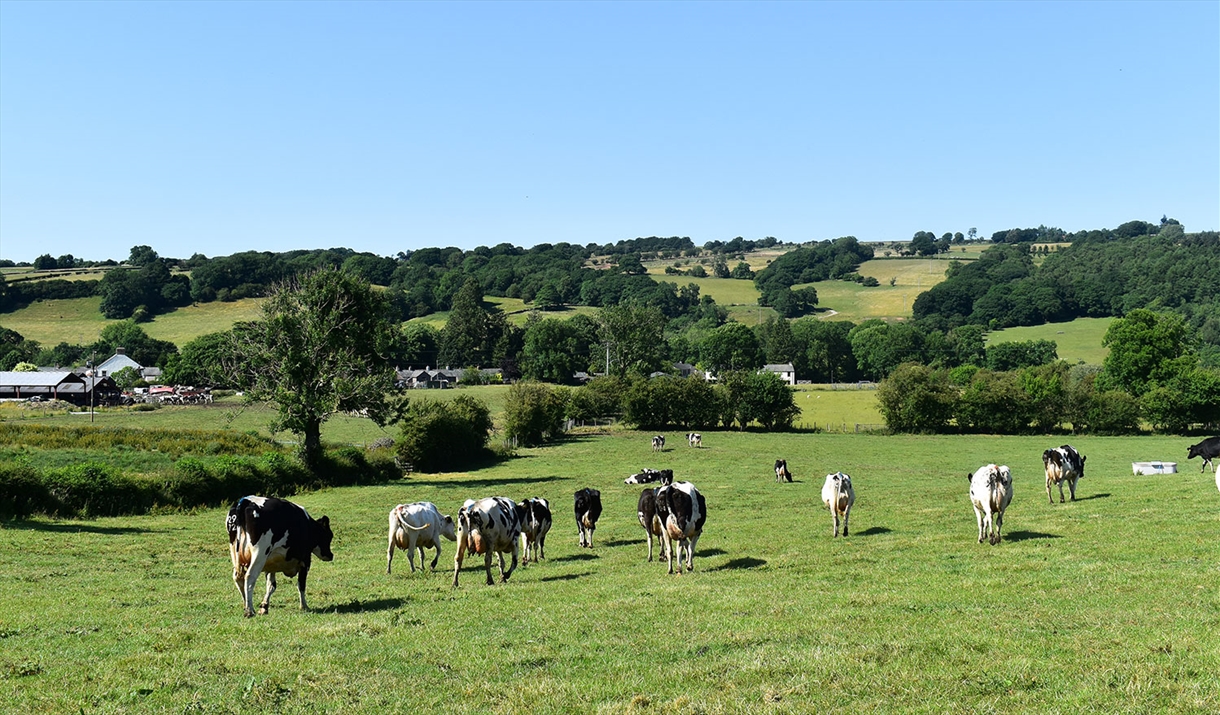 A Farm to Fork Tour. Photo: Midtown Milk House