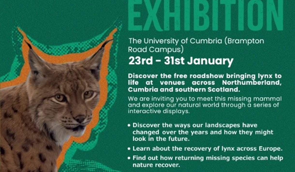 Missing Lynx Exhibition