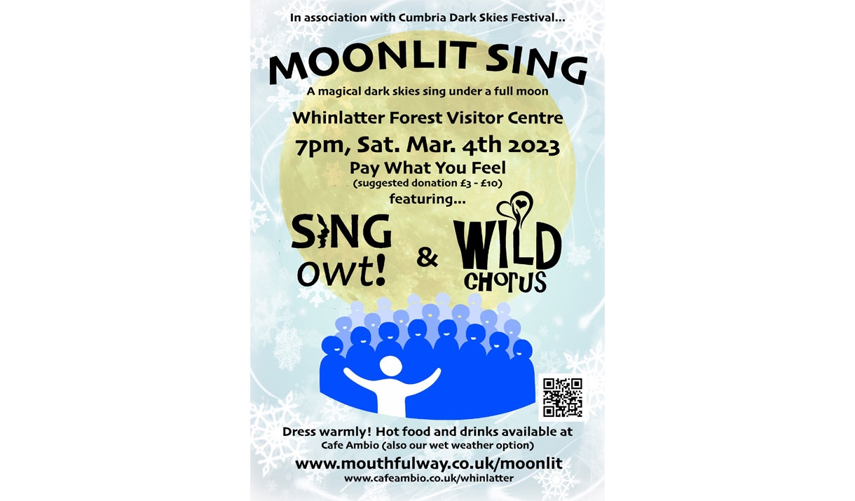 Moonlit Sing at Whinlatter Forest in the Lake District, Cumbria