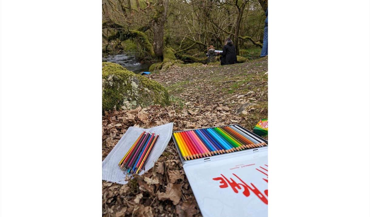 Nature Doodling at Wild Haweswater