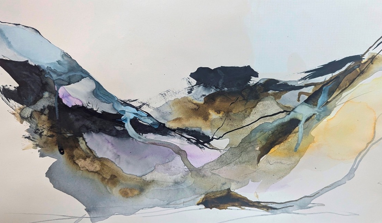 Spring SERIES of 4 Thurs am's 'Dynamic Floral & Landscape Abstracts in Ink and Watercolour' - with Lyn Evans. £24 deposit