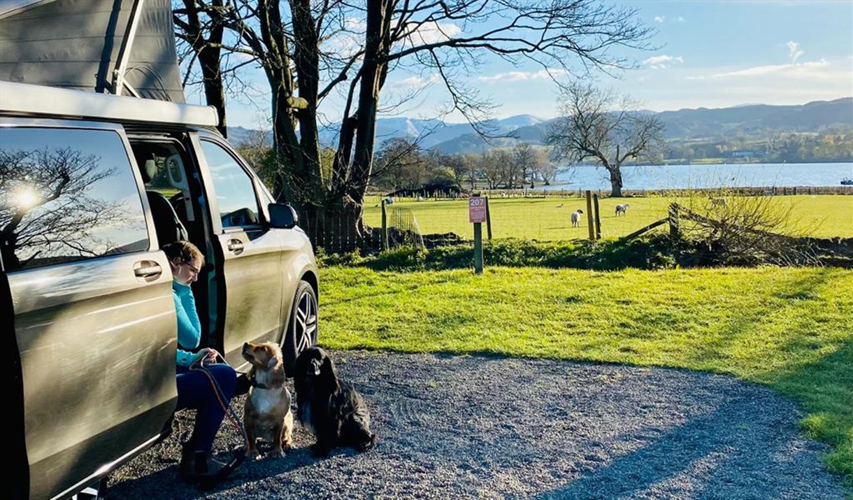 Dog Friendly Holiday Park at Park Foot Holiday Park in Pooley Bridge, Lake District