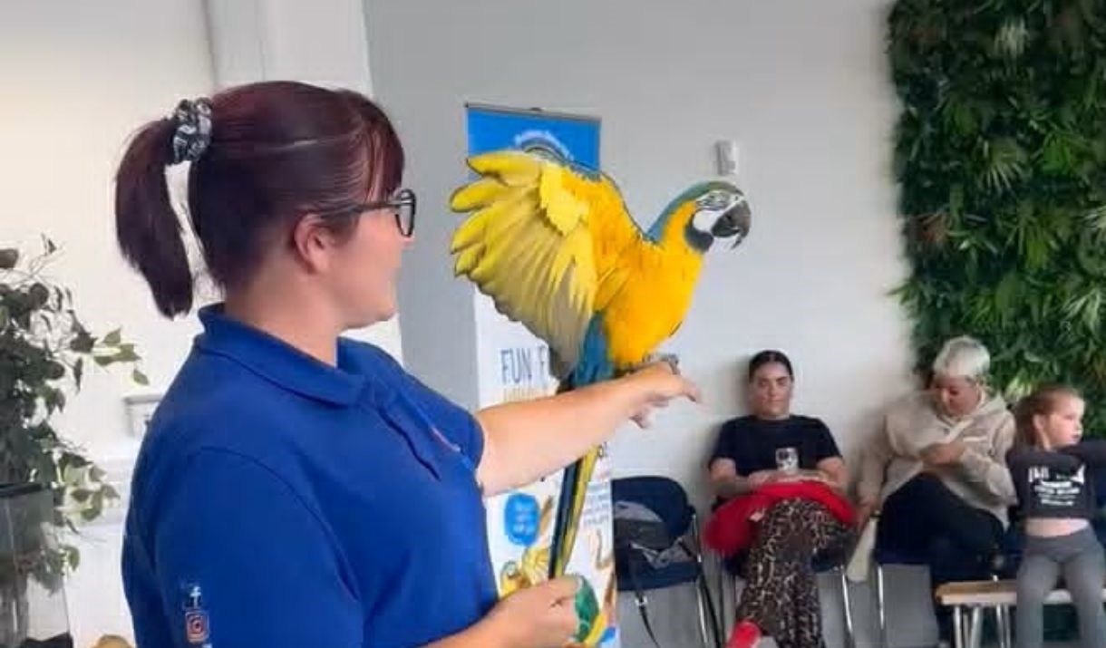 The Beacon Museum - Pet Encounter