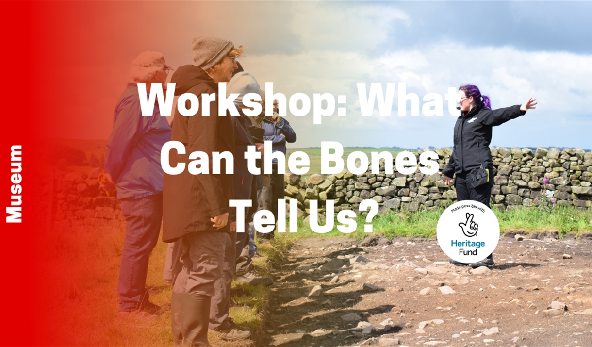 What can bones tell us workshop poster. featuring a women talking to a group by a stone wall