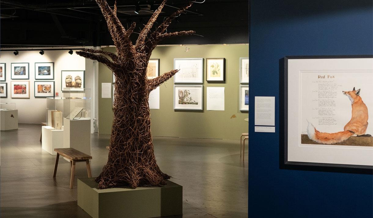 The Lost Spells, Lost Words: Beyond & Before Exhibition at Rheged in Penrith, Cumbria © Joshua Smith