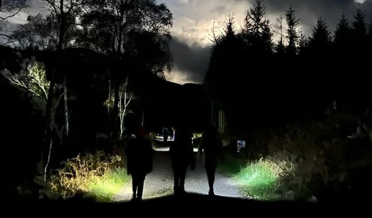 Forest Run & Yoga - Cumbria Dark Skies Festival