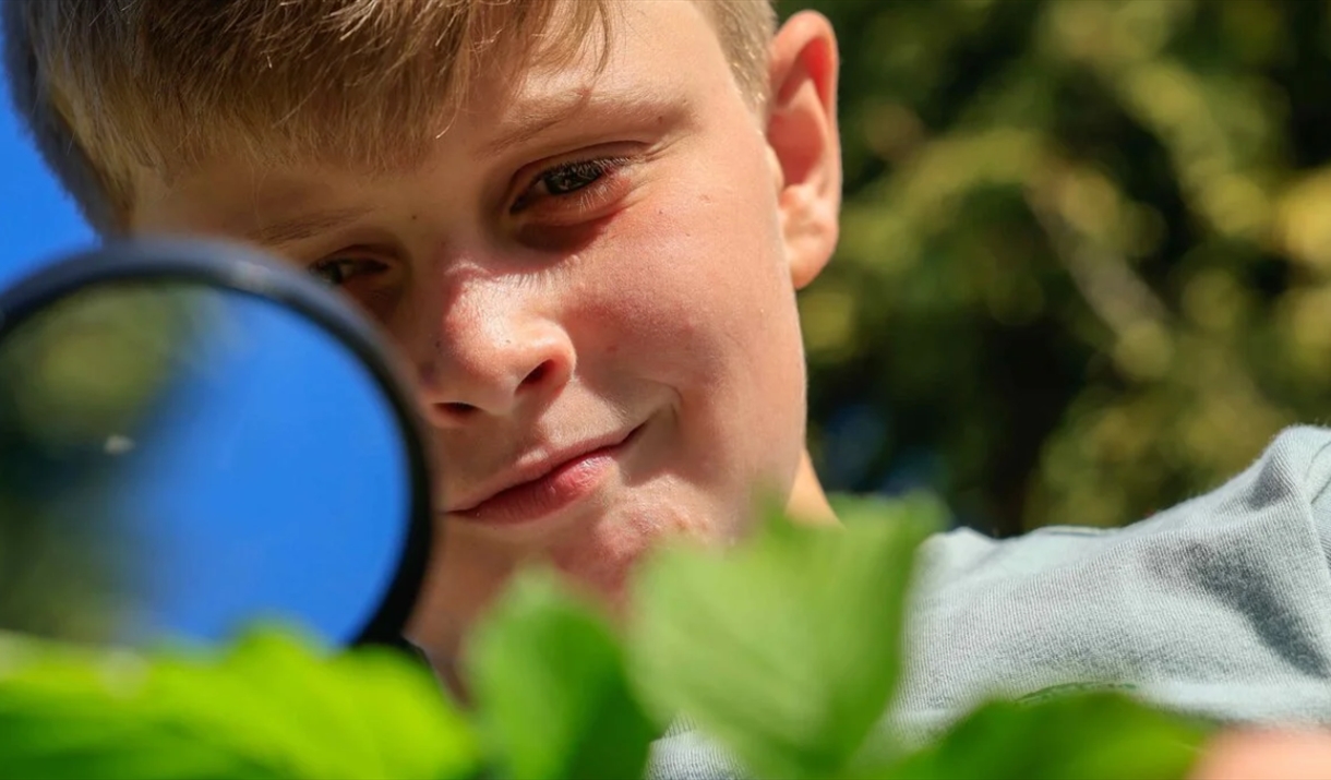 Child with magnifying glass looking at leaves