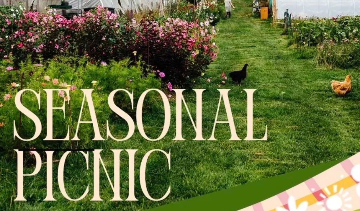 Flowers and chicken at Cumberland Flower Farm