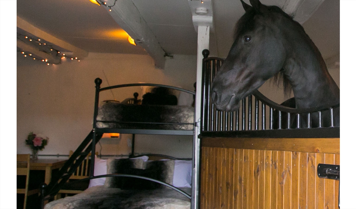 Friesian Horse and Bunkbed at Stable Stays at Greenbank Farm in Grange-over-Sands, Cumbria