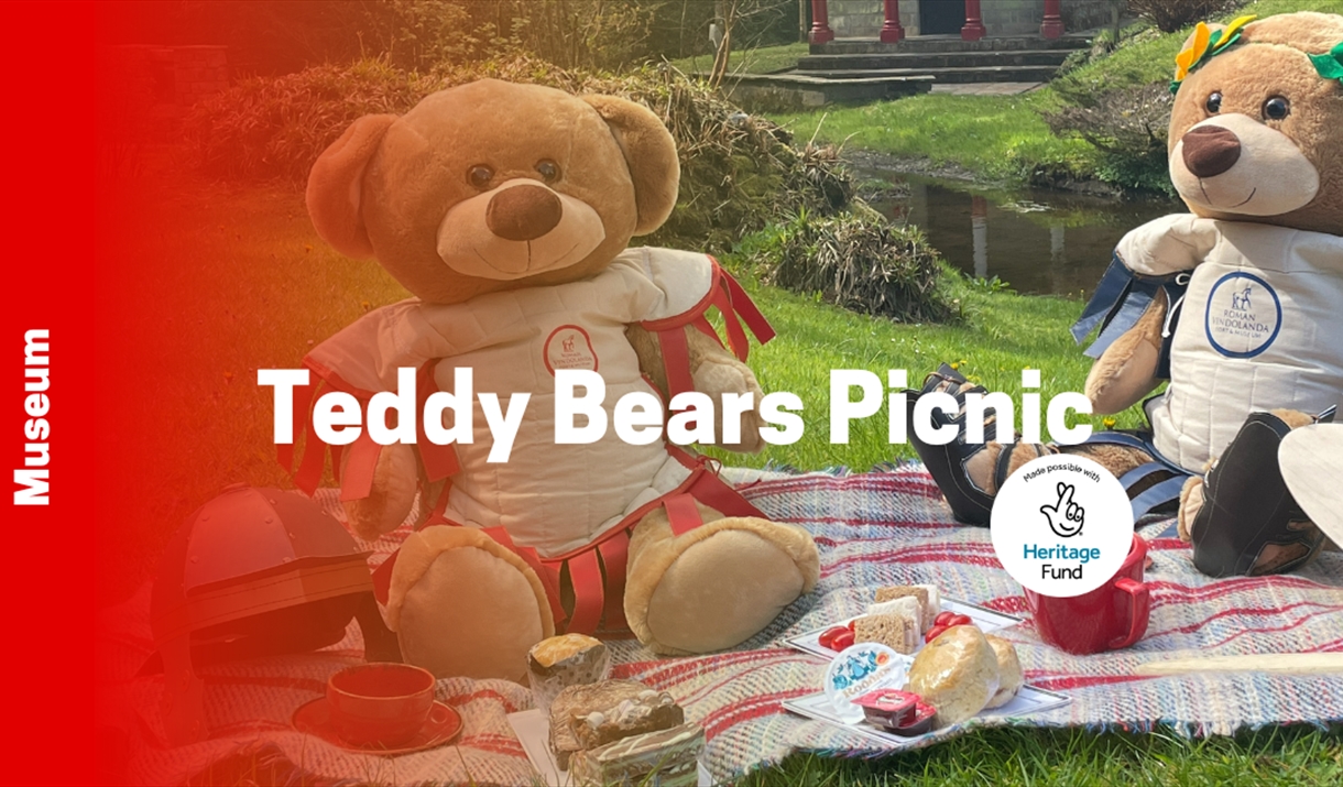 Teddy Bears Picnic