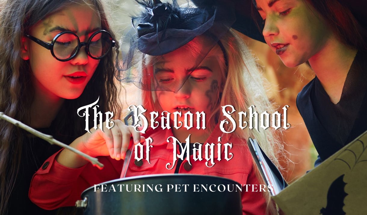 The Beacon School of Magic