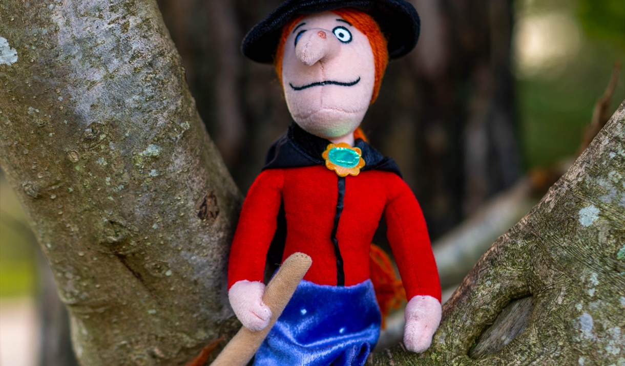 Room on the Broom toy