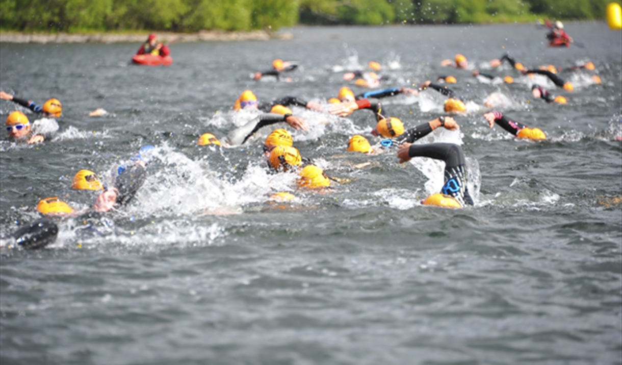Swimmers