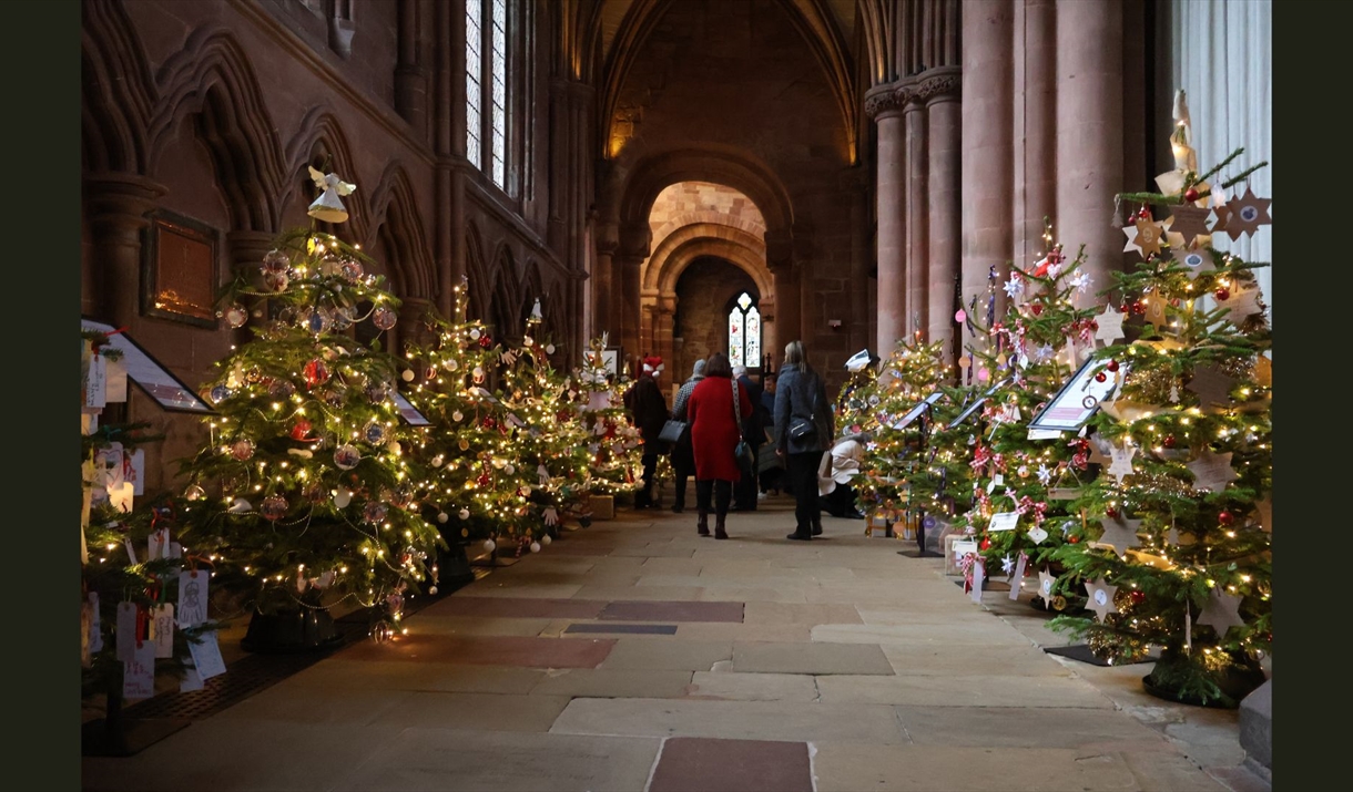 Photo of the inside of Carlisle Cathedral lined either side with Christmas trees