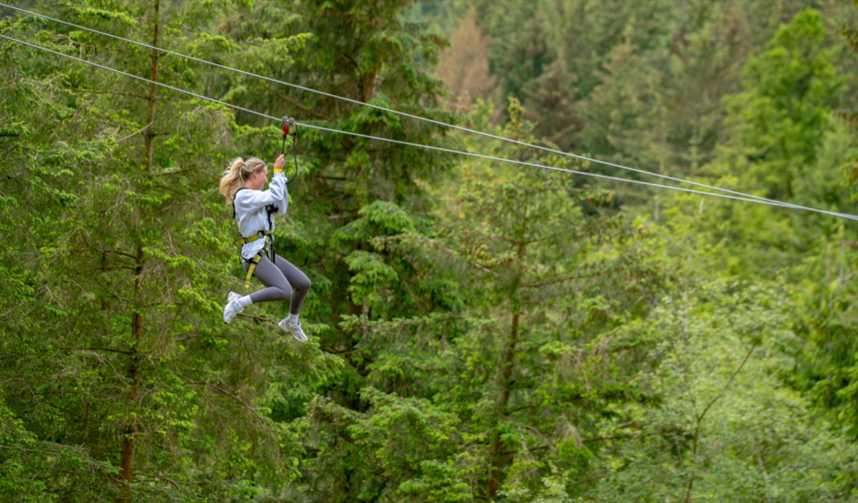 A zipline through the forest