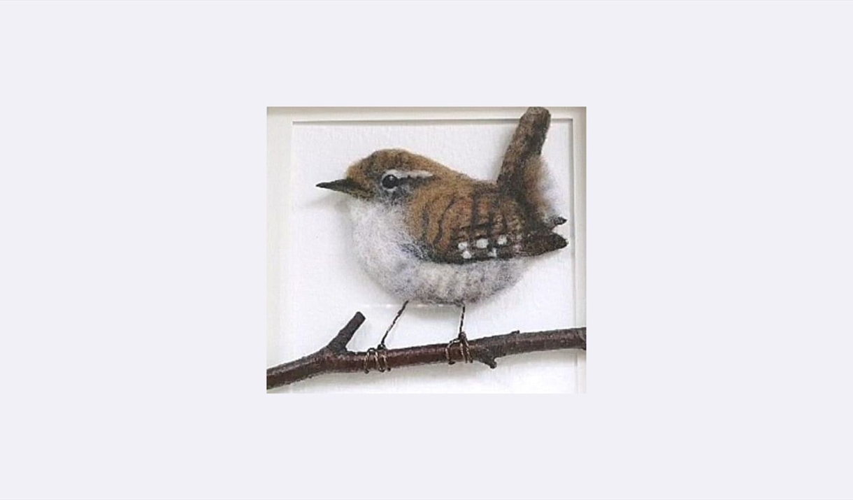 Needlefelt a Wren