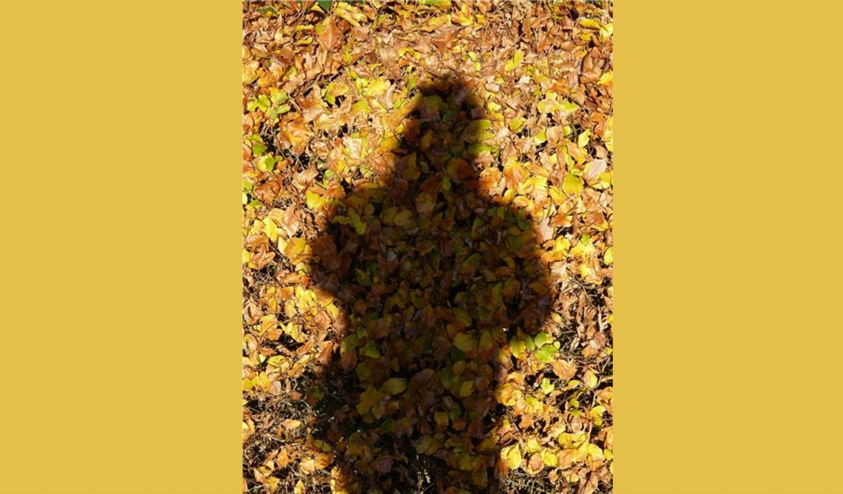A shadow of a person over orange coloured leaves.