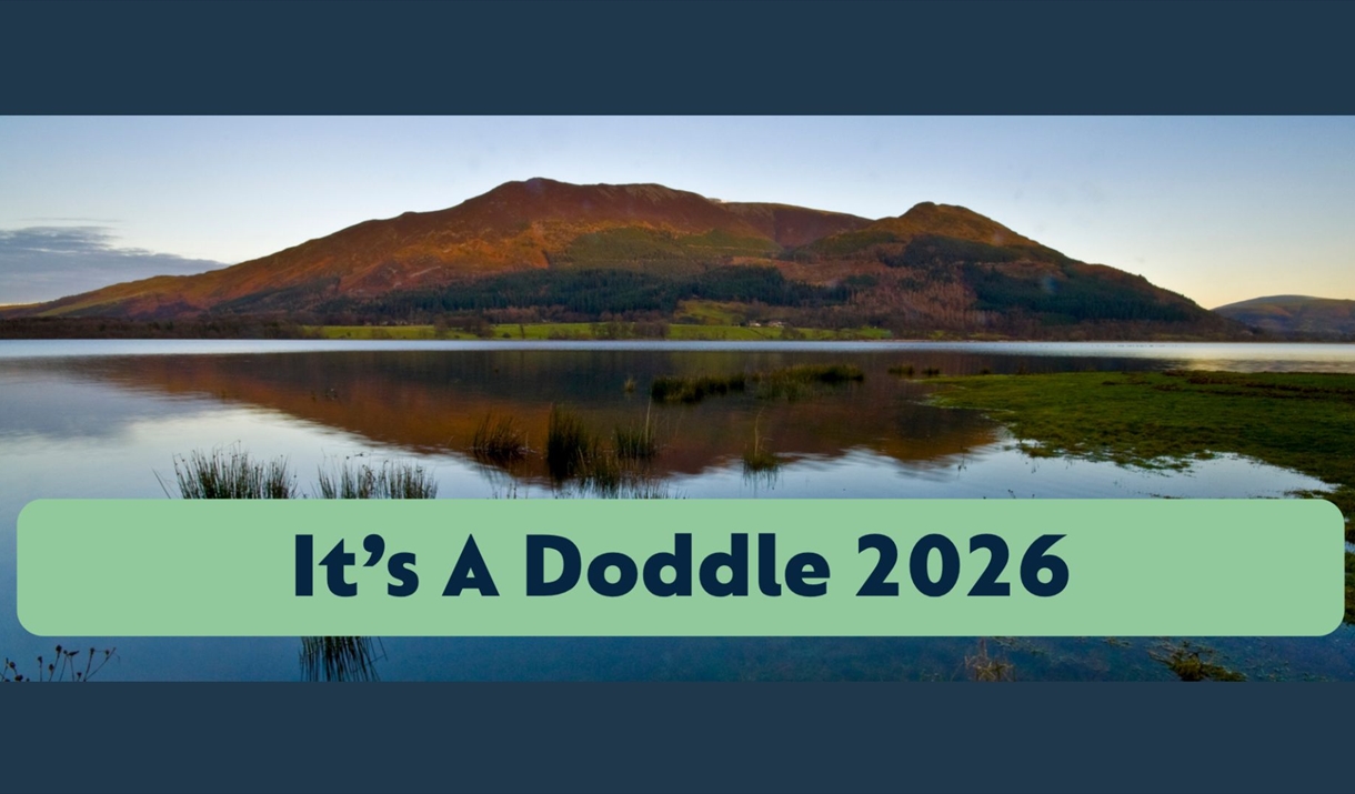 it's a doddle 2026 logo