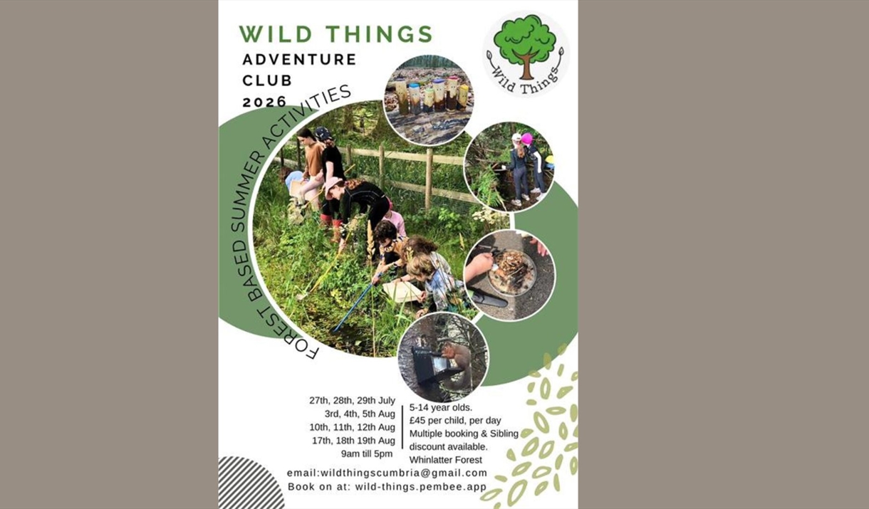 Wild Things at Whinlatter Adventure Club Poster