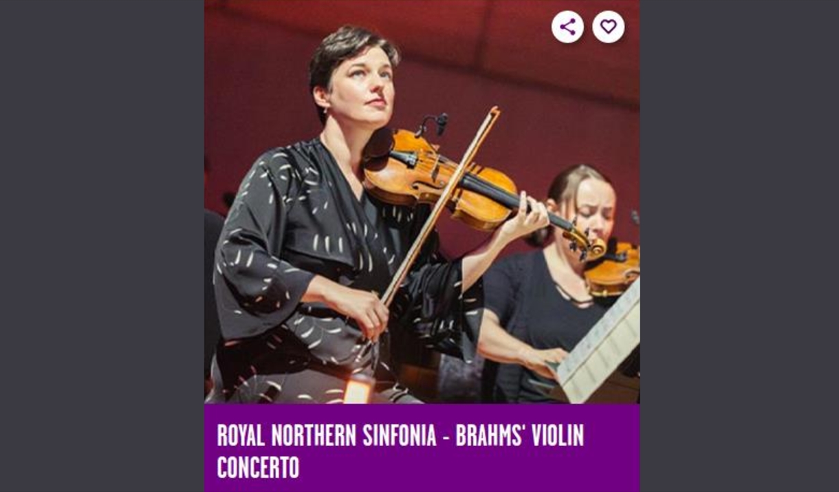 Women playing a Violin