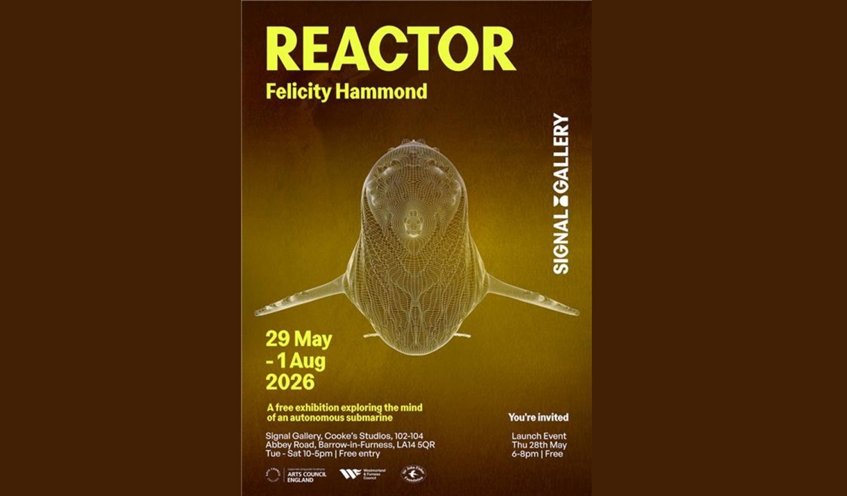 Reactor by Felicity Hammond - exhibition poster