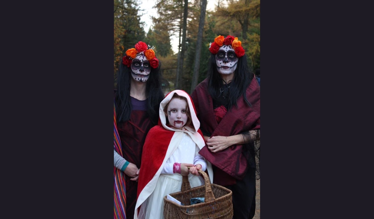 People dressed up in Halloween costumes